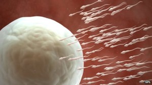 Sperm, Sex & Easter Eggs